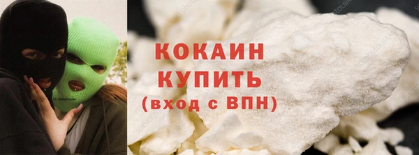 МДПВ Гусев